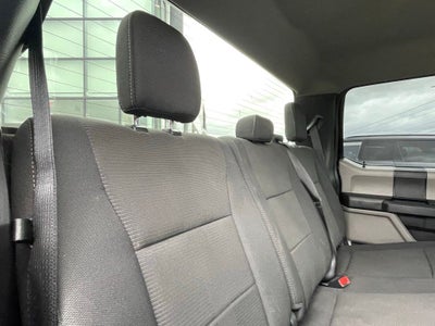 2020 Ford F-150 XL - 5.0L V8 / STX APPEARANCE PKG