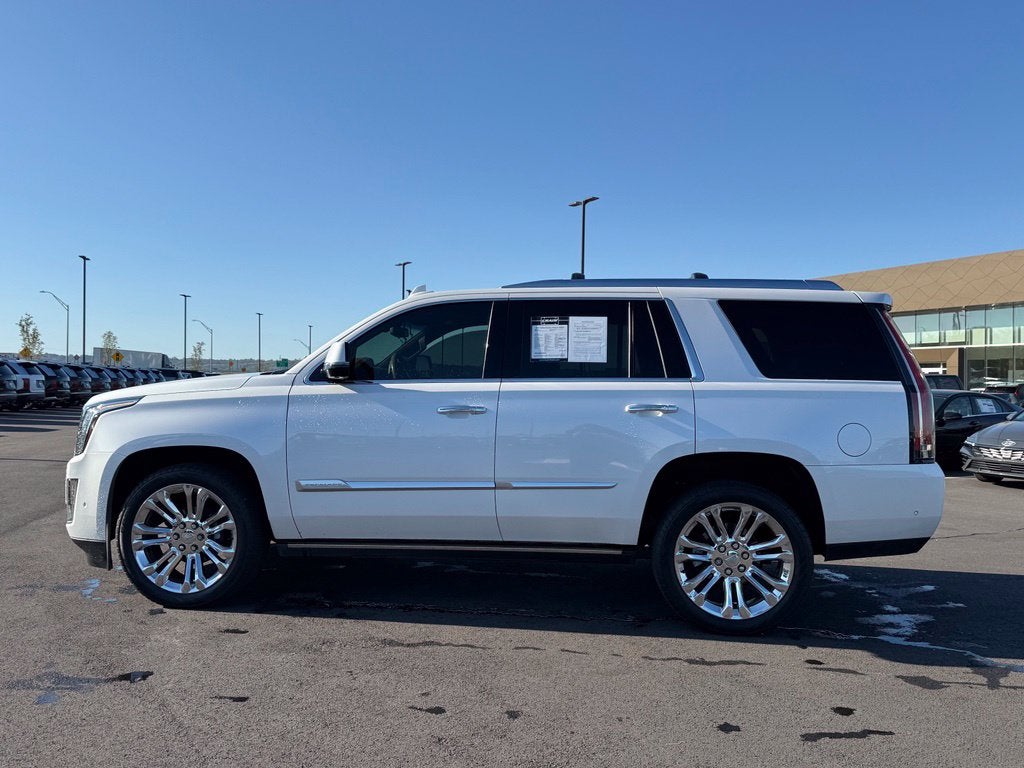 2019 Cadillac Escalade Platinum Edition