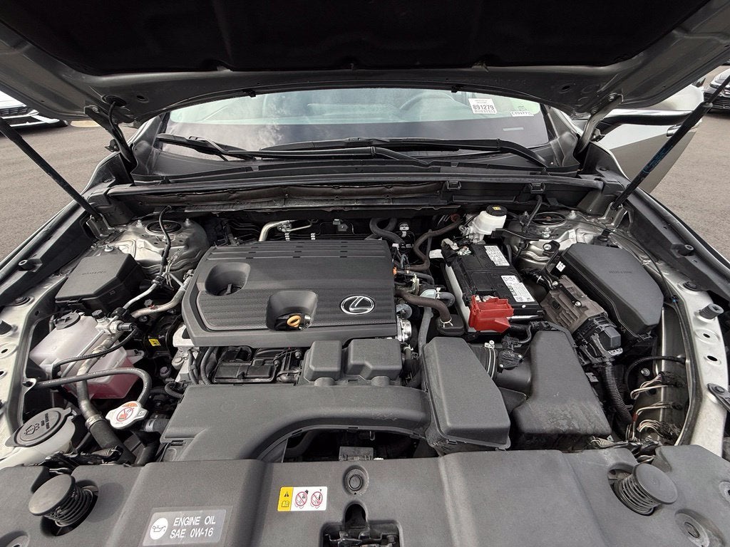 2024 Lexus NX 250 Premium