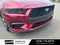 2025 Ford Mustang EcoBoost - CLEAN CARFAX / ONE OWNER