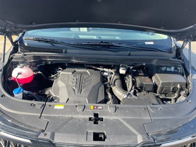 2025 Kia Carnival LXS LEATHER / HEATED SEATS / NAV